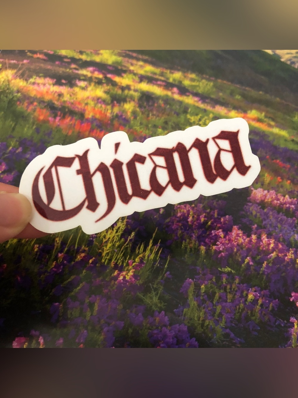 Chicana sticker
SKU355